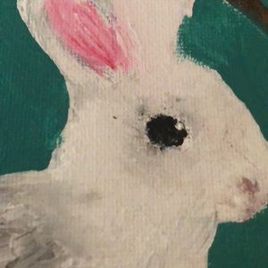 Meet your Posher, Abigail